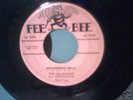 THE DEL VIKINGS ON FEE BEE