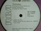 THE BROTHERS Under The Skin disco breaks 12