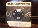 The Robins - Rare Record - Almost Impossible to find