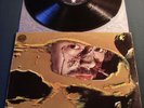 BUFFALO DEAD FOREVER VERTIGO AUSTRALIA 1972 NEAR MINT