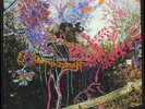 ANIMAL COLLECTIVE Here Comes The Indian LP Panda Bear