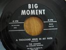 Doo-Wop: The Chants on Big Moment 101/102, E+