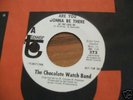 The Chocolate Watch Band - Are You Gonna Be. 1966 US 45