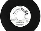 RARE NORTHERN 45 - Edward Hamilton on Jameco 2008 - DJ