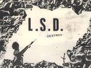 LSD 1st flexi 80's japanese punk hardcore kbd ADK