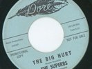 NORTHERN SUPERBS THE BIG HURT  b/w  I WAS BLIND  {DORE}