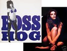 Boss Hog, DRINKIN LECHIN & LYIN +COLD HANDS Jon Spencer