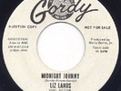 NORTHERN SOUL Liz Lands Midnight Johnny 45 NM 1964