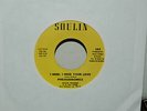 New Orleans  Soul 45 Philharmonics on Soulin