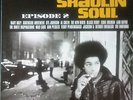 SHAOLIN SOUL 2