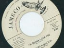 NORTHERN EDWARD HAMILTON I'M GONNA LOVE YOU    {JAMECO}