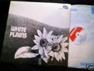 WHITE PLAINS-WHITE PLAINS 1970 DERAM LP N/M VINYL