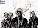 TOM PETTY Echo rare sealed 180 gram viny 2 LP gatefoldl