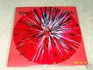 Teenage Bottlerocket live 06 LP(only 10 done like this)