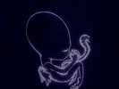 Sigur Ros Agaetis byrjun LP