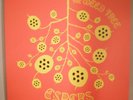 Espers Weed Tree Acid Folk Psych UNPLAYED