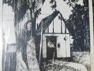 NAOMI - COTTAGE SONGS private psych soft femme folk mp3