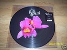 OPETH.RARE DOUBLE PICTURE DISC LP.ORCHID.ONLY 2000. 