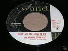 THE MOVING SIDEWALKS WAND GARAGE ORIGINAL 45 RECORD