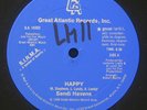 SANDI HAVENS Happy PRIVATE DISCO BOOGIE 12