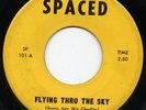 60's INSANE Michigan Garage Psych 45rpm SPACED LISTEN