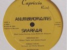 A NUMBER OF NAMES - SHAREVARI RARE DETROIT TECHNO 12