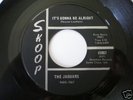 KILLER GARAGE PUNK  THE JAGUARS 