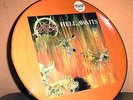 Slayer*Hell Awaits*Picture LP von 1985*Limited 3352