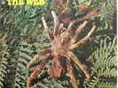 The Web - Theraphosa Blondi RARE ORIGINAL LP