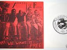 ARTICLES OF FAITH What We Want Is Free ORIG 7