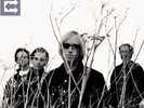 Tom Petty and the Heartbreakers: Echo LTD VINYL LP