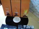 RAW MATERIAL TIME IS MINT PROGRESSIVE MONSTER