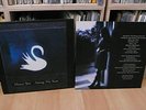 MAZZY STAR 