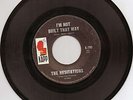 Northern Soul - The Hesitations on Kapp - RARE LISTEN