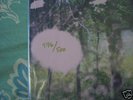 Black Moth Super Rainbow LP COLOR vinyl 476/500 psych