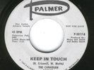 FLORIDA GARAGE 45--THE CANADIAN ROGUES--PALMER--HEAR 