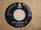 STONE GARDEN : Heavy 1969 Fuzz Psych Garage 45 LISTEN
