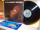 Muddy Waters 