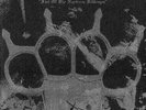 Clandestine Blaze - Fist of the Northern ... LP / 400