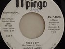 Hodges James Crawford & Smith Nobody Soul Funk 45 HEAR