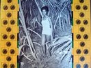 rare Jamaica Reggae LP RONNIE DAVIS on D.L. INT'L