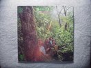 DOUGLAS FIR  LP 1970 PACIFIC NORTWEST HIPPIE PSYCH WLP