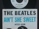 The Beatles RARE ATCO Pic Sleeve 45 45rpm Stock Copy