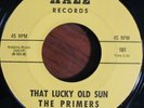 Rare Northern Soul Killer The Primers Hale 101 Hear It