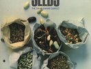 ldvs 17165 sahib shihab seeds german vogue ex+