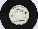 GARAGE 45 - THE OTHERS - I CAN'T STAND THIS LOVE LISTEN