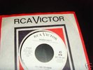 Northern Soul Detroit SHARON SCOTT Could it be you RCA