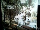 SWAMP BLUES-on Blue Horizon 7-66263