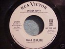 Northern Soul Sharon Scott on RCA 