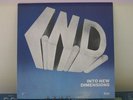 LP I.N.D. INTO NEW DIMENSIONS Erect Private Boogie Funk